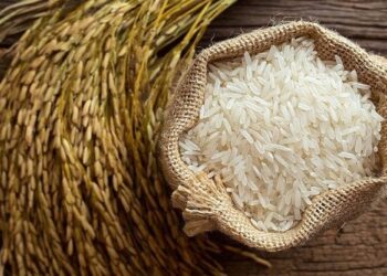 Khám Phá Những Sản Phẩm Tiêu Dùng Hàng Đầu Tại Đà Nẵng - zitx