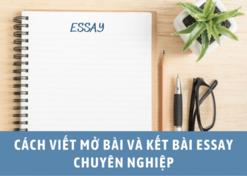 Top Những Địa Điểm Giáo Dục Uy Tín Tại Đà Nẵng - zitx