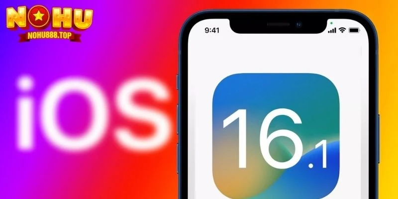 Hướng Dẫn Tải App NOHU Dễ Và Đơn Giản Trên Android Và IOS - zitx