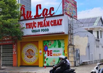 Khám Phá Những Sản Phẩm Tiêu Dùng Hàng Đầu Tại Đà Nẵng - zitx