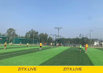 Tổng Hợp Tất Cả Những Đơn Vị Cung Cấp Dịch Vụ Tại Đà Nẵng - zitx